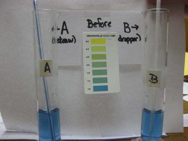 <p>Identify?</p><p>Lab Image 5-14</p>