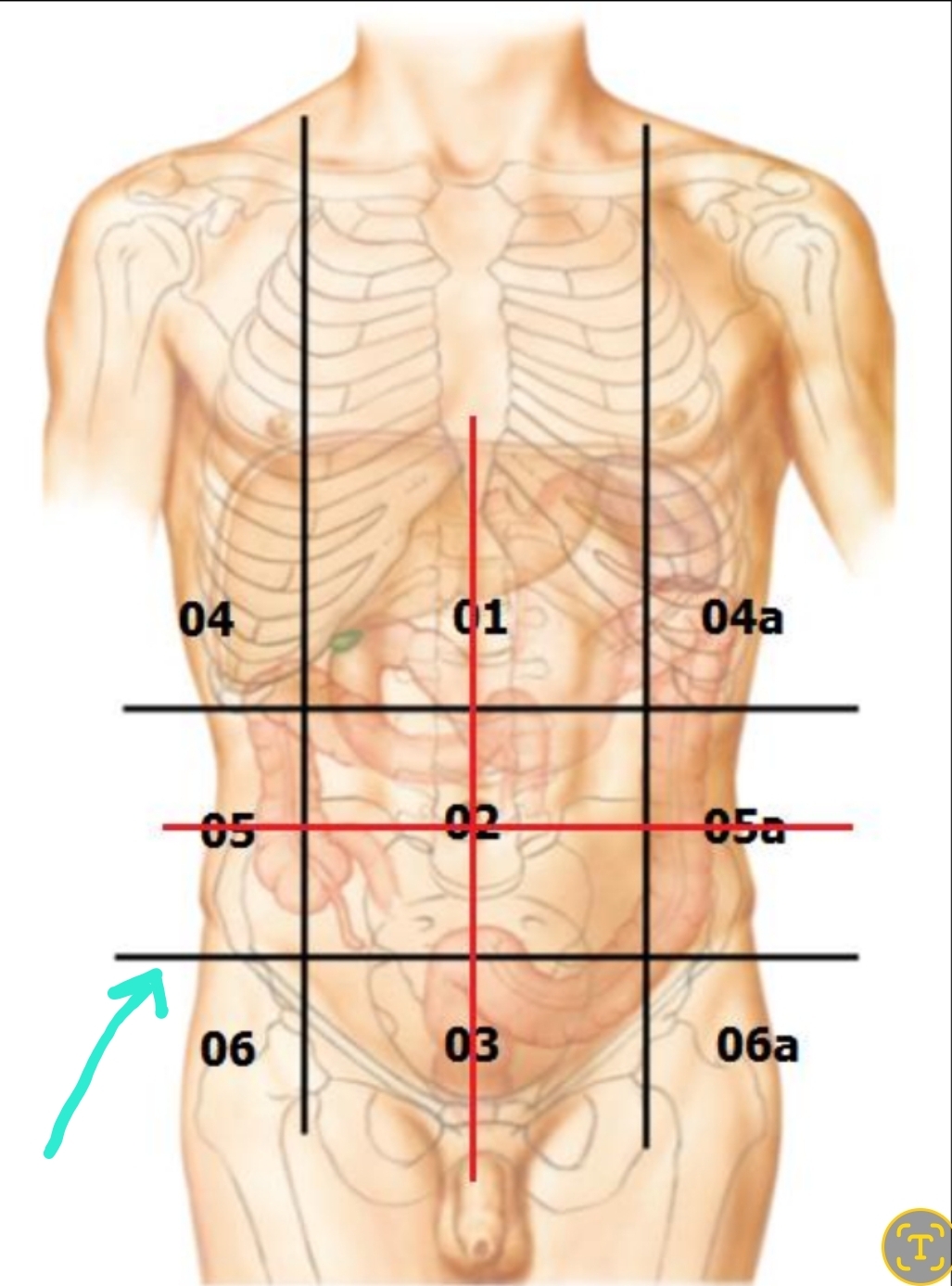 <p>Qual é o nome?</p>
