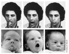 <p>-The<u><mark data-color="#e6e8f8" style="background-color: rgb(230, 232, 248); color: inherit;"> synchronized coordination of behavior</mark></u> and affect between a caregiver and an infant.</p>