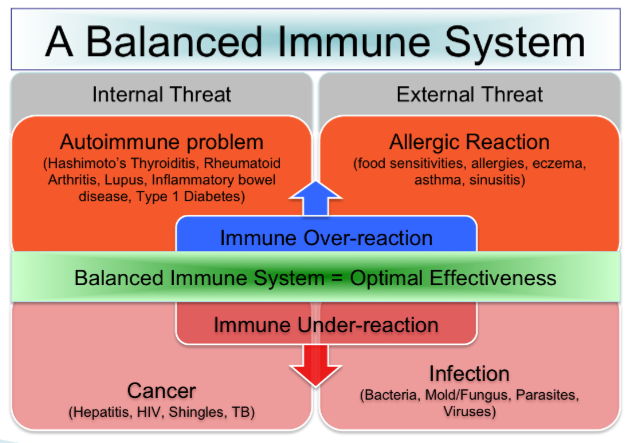 <p>Internal threat</p><ul><li><p>Autoimmune problem</p></li><li><p>Cancer</p></li></ul><p>External Threat</p><ul><li><p>Allergic Reaction</p></li><li><p>Infection</p></li></ul><p>Immune over reaction</p><ul><li><p>Autoimmune response</p></li><li><p>allergic reaction</p></li></ul><p>Immune under-reaction</p><ul><li><p>Allergic reaction</p></li><li><p>infection</p></li></ul><p></p>