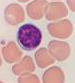 <p>Identify this</p>