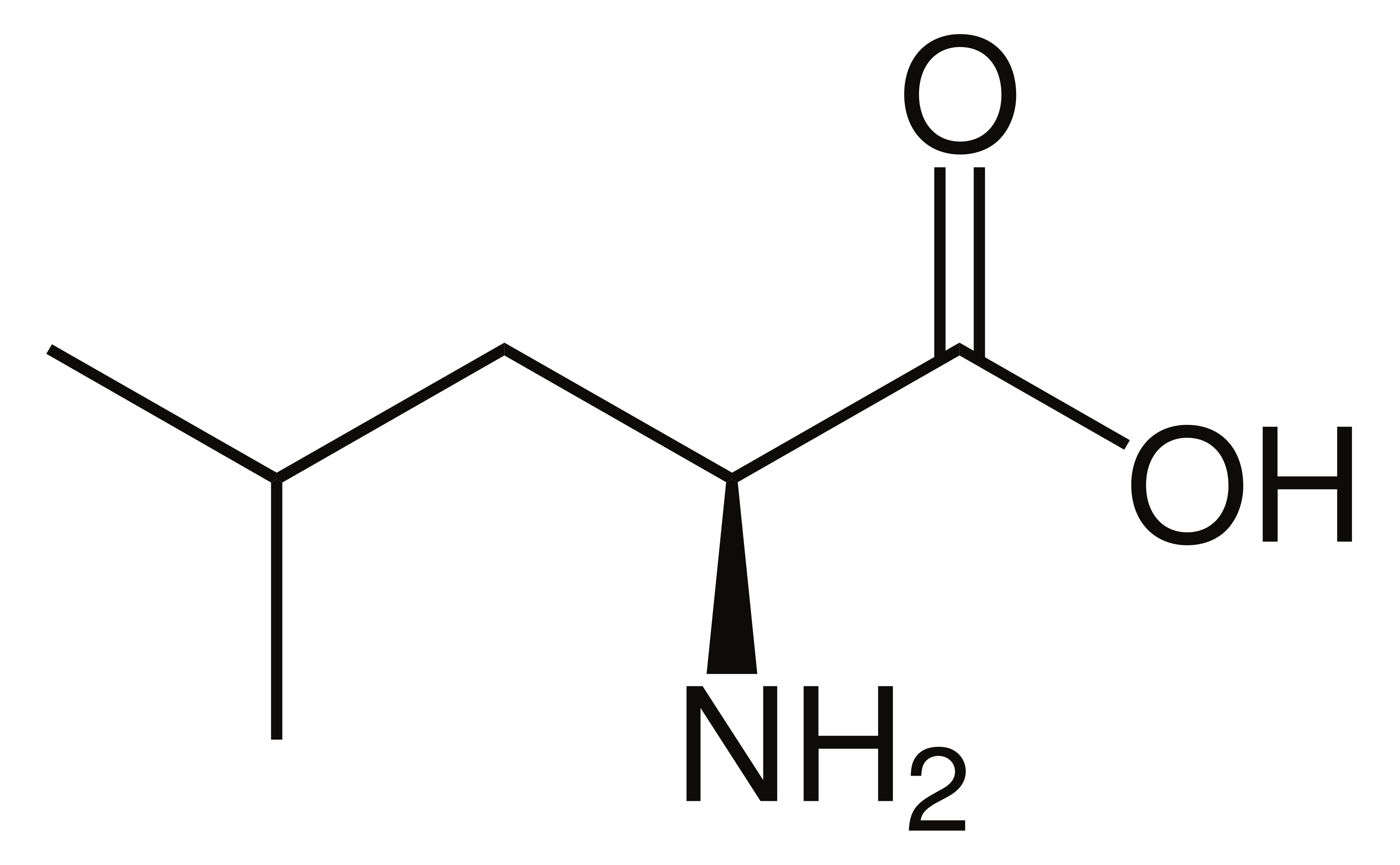 <p>name this amino acid</p>