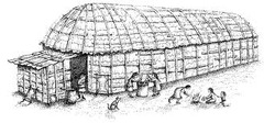<p>Longhouses made of wood and bark</p><p>Wigwams</p>