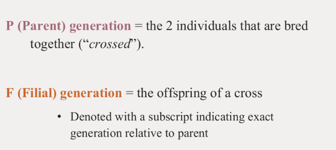 <p>F1= Gen. 1</p><p>F2= Gen. 2</p>
