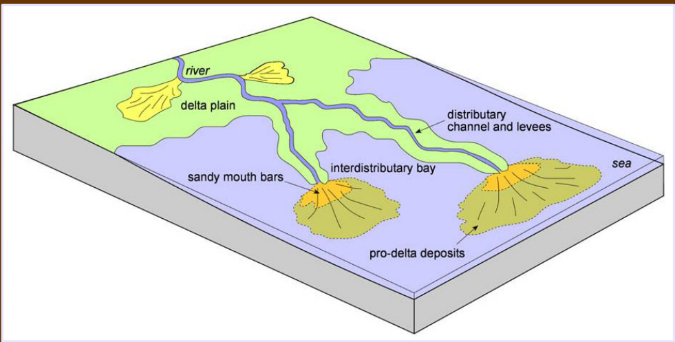 <p>delta front immediately forward of the channel mouth; site of deposition of the bedload material (mud). Scale with flow width and can accrete downstream, laterally, upstream</p>