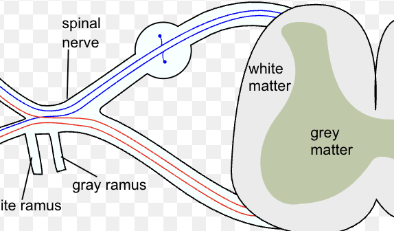 <p>far left, bottom thing</p>