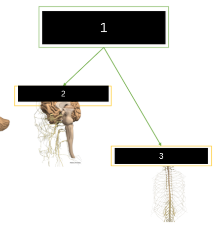 <p>what is figure 2</p>