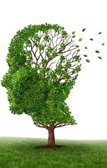 <p>a general term that refers to a serious, progressive loss of mental abilities such as thinking, remembering, reasoning, and communicating</p>