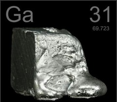 <p>31</p>