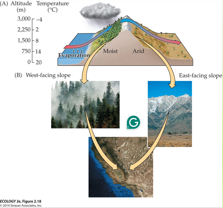 <p>A rain shadow is the tendency for the windward side of a mountain to be wet while the leeward side is dry. </p><p>This occurs because the air is forced upward as it travels up a mountain. This causes warmed air to cool and release its rain on one side of the mountain. By the time it arrives on the other side of the mountain, it has lost all its moisture.</p>