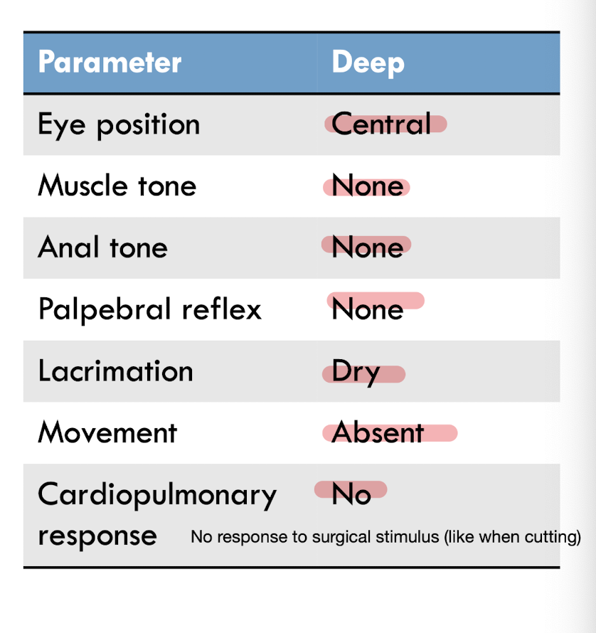<p>physical signs </p>