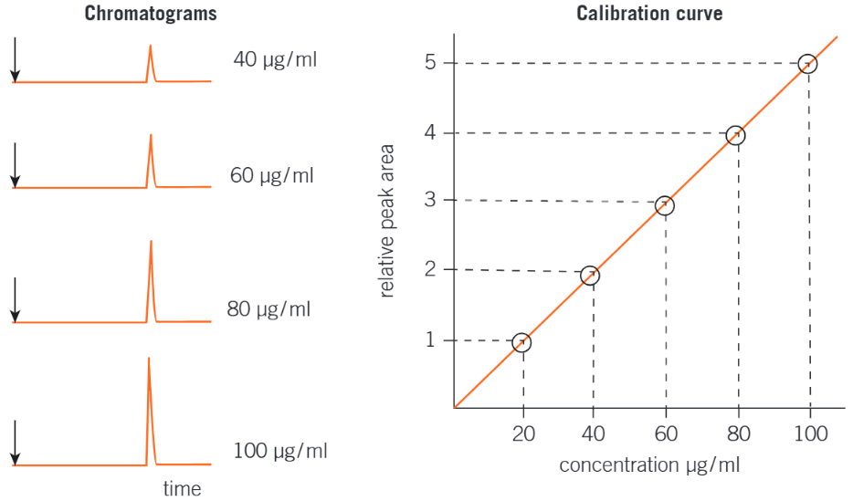 <p><span style="background-color: transparent;"><span>The concentration of a component in a sample is determined by comparing its peak integration (peak area) with values obtained from standard solutions of the component.&nbsp;</span></span></p><p><span style="background-color: transparent;"><span>The procedure is as followed:</span></span></p><ol><li><p><span style="background-color: transparent;"><span>Prepare standard solutions of known concentrations of the compound being investigated.</span></span></p></li><li><p><span style="background-color: transparent;"><span>Obtain gas chromatograms for each standard solution.</span></span></p></li><li><p><span style="background-color: transparent;"><span>Plot a calibration curve of peak area against concentration. This is called external calibration and offers a method for converting a peak area into a concentration.</span></span></p></li><li><p><span style="background-color: transparent;"><span>Obtain a gas chromagram of the compound being investigated under the same conditions.</span></span></p></li><li><p><span style="background-color: transparent;"><span>&nbsp;Use the calibration curve to measure the concentration of the compound.</span></span></p></li></ol><p></p>