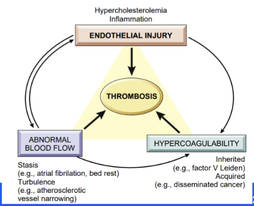 <p>Factors important for the Formation of thrombosis includes vessel wall injury, hypercoagulability, and flow disturbance</p>