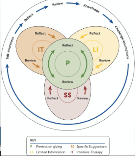 <p>Ex-PLISSIT model</p>