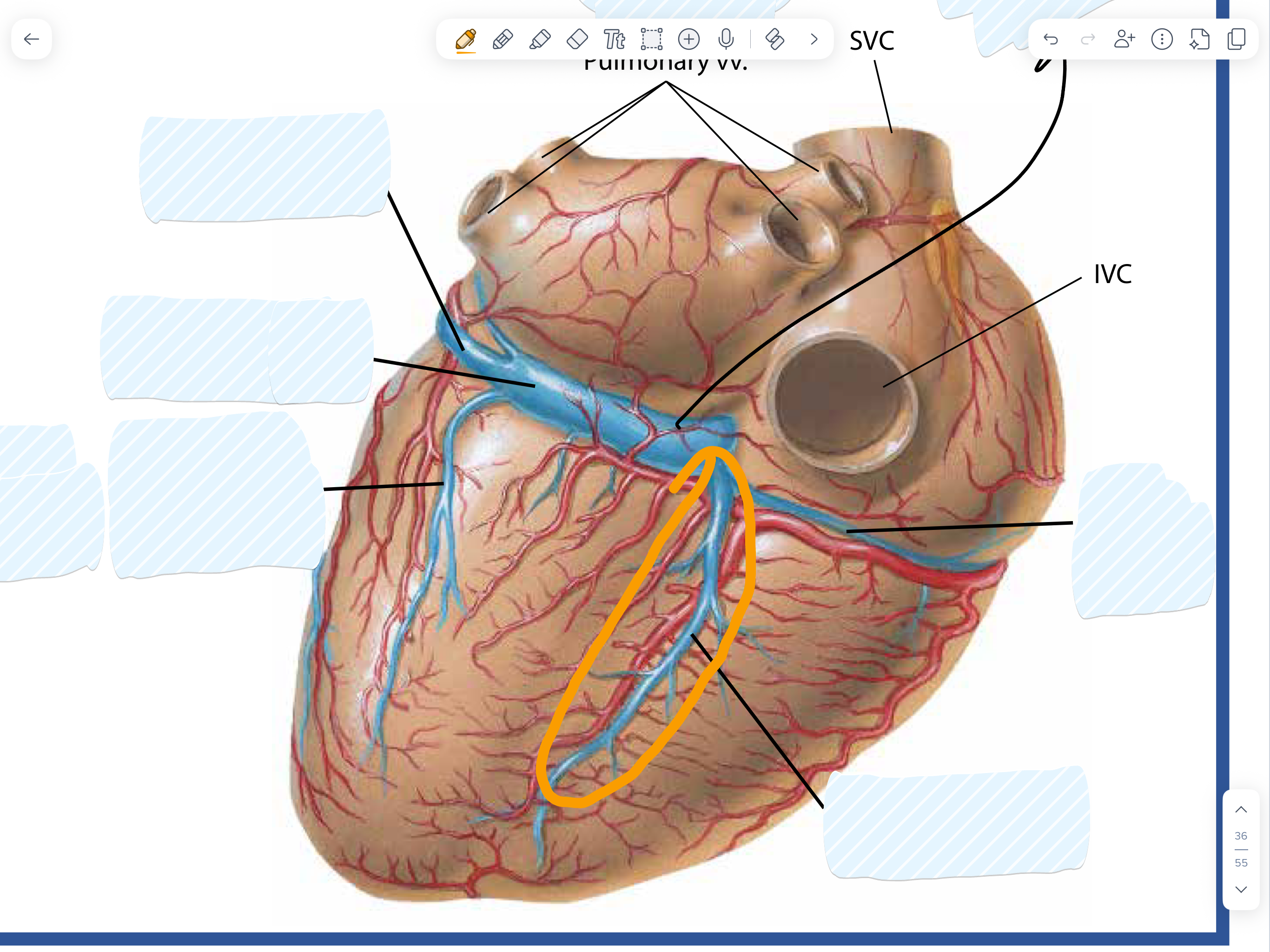 knowt flashcard image