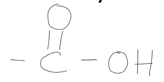 <p>Carboxylic Acid</p>