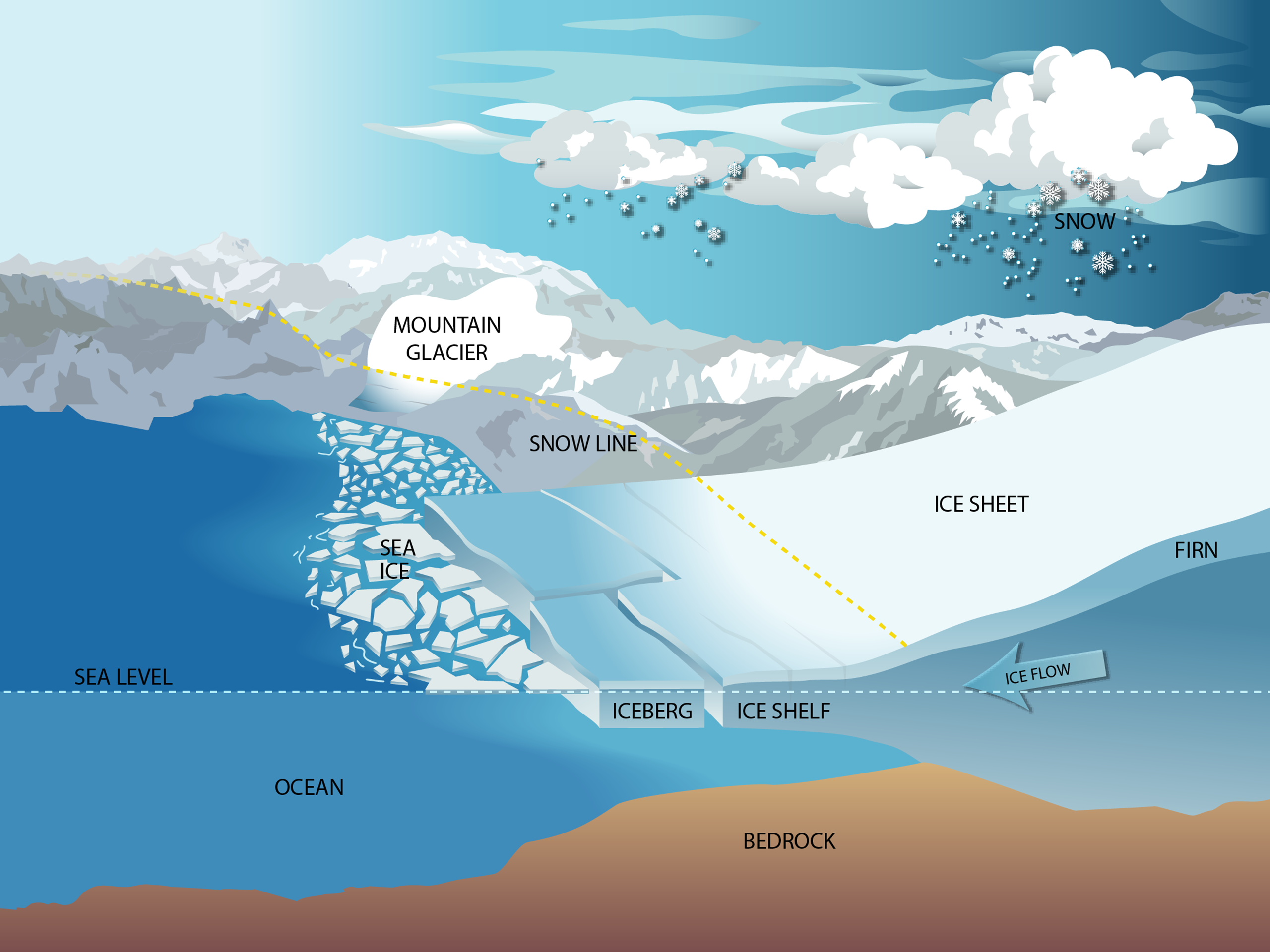 <p>Large continuous masses of ice that can be found in either mountainous or non-mountainous regions; may exist in two norms: </p><p>Ice sheet - an expanse of continental ice larger than 50k² </p><p>Ice cap - an expanse of ice smaller than an ice sheet; are circular in shape. </p>
