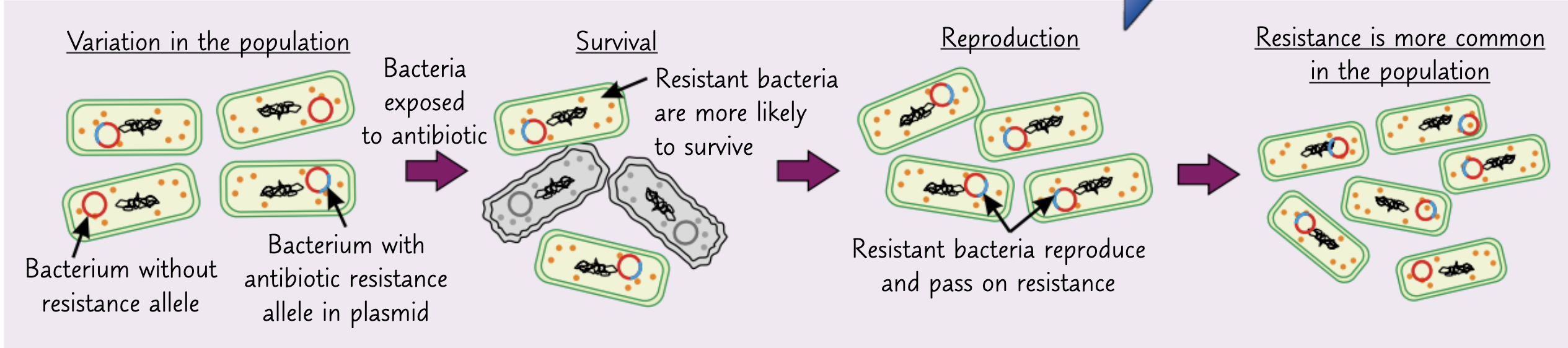<p>This is becoming far more common and is very dangerous</p>