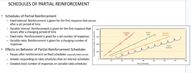 <p><strong>Schedules of Partial Reinforcement</strong></p>