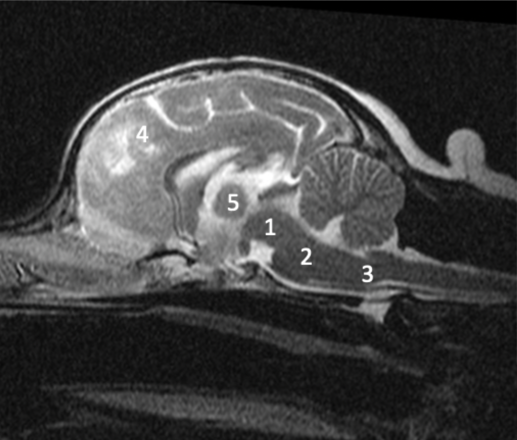 <p>What is 1?</p>