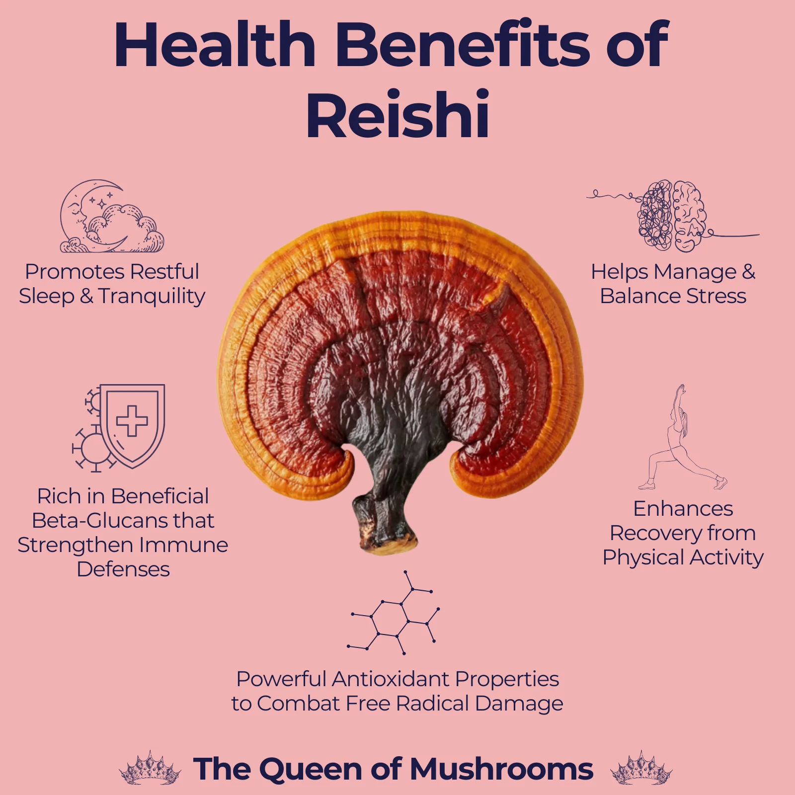<p>Reishi (mushroom)</p>