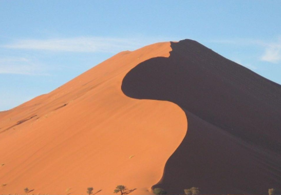 <p>What kind of dune is this?</p>