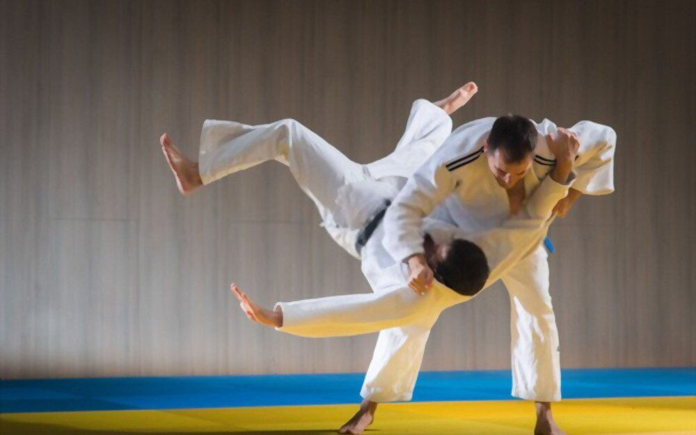 <p><span style="background-color: transparent;">het judo</span></p>