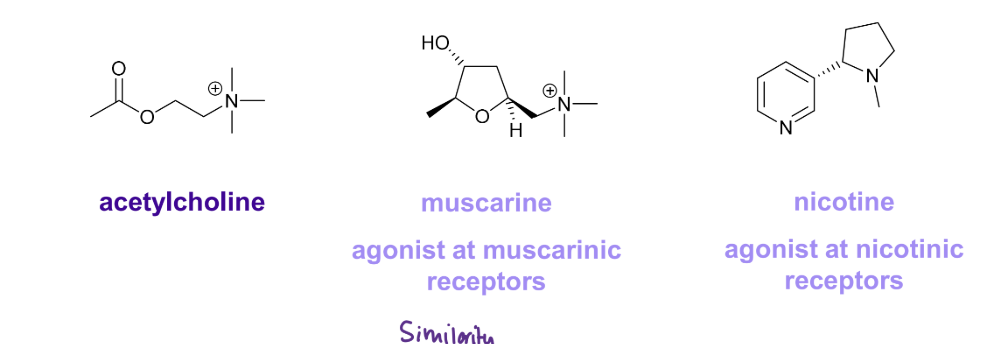 <ol><li><p>Types of functional groups </p></li><li><p>number of functional groups</p></li><li><p>relative arrangement of functional groups </p></li></ol><p></p>