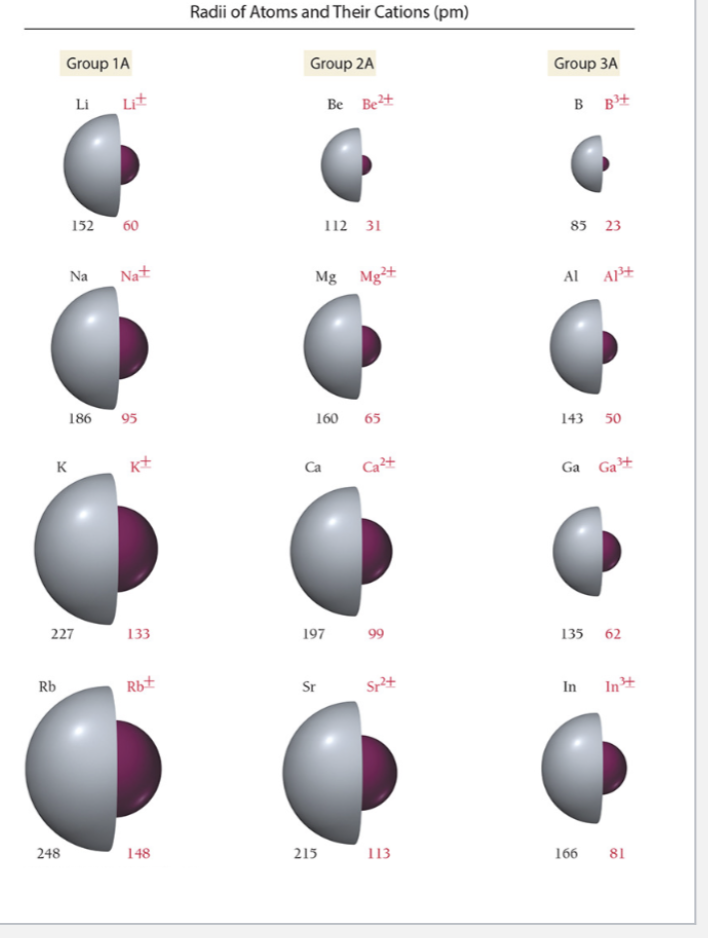 <p>Cations have a smaller atomic radius than their corresponding neutral atoms because they are formed by long one or more electrons. When electrons are removed, the number of protons in the nucleus stays the same, but there are fewer electrons experience the nuclear attraction. As a result, the remaining electrons feel a larger effective nuclear charge and are pulled closer to the nucleus. </p><p>In many cases, forming a cation also removed the entire outermost energy level, causing a significant dresses in atomic size. Additionally, the greater the positive charge on a cation, the smaller the ion tends to be because more electrons have ben removed and the remaining electrons experience a stronger attraction to the nucleus.</p><p>For isoelectronic species where all atoms or ions have the same number of electrons, size depends on the number of protons. Since the electron configuration is identical. the species with more protons pull the electrons closer to the nucleus as has the smaller radius.</p>