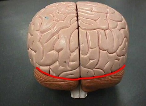 <p></p>