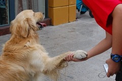 <p>Mucho gusto</p>