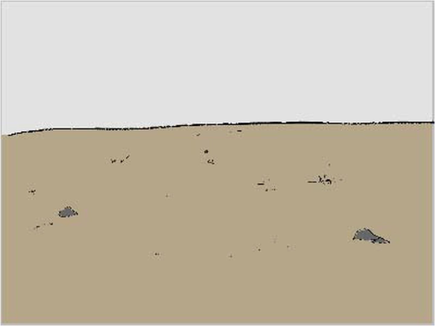 <p>nomen:</p><p>The firm stuff we walk on</p>