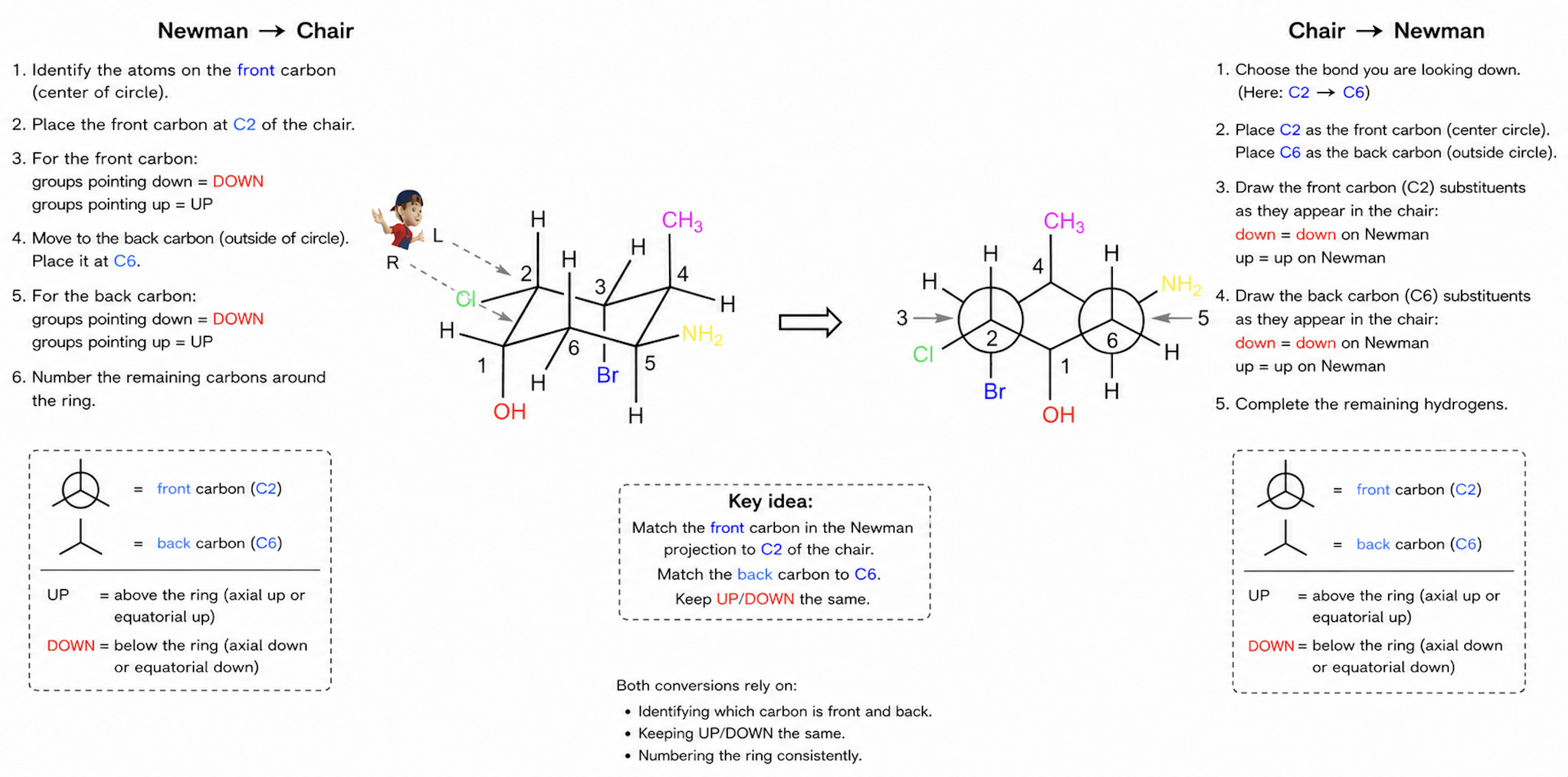 <p>☐ <u>wedge-dash</u> shows up/down stereochemistry</p><p>☐ <strong>chair</strong> shows axial/equatorial and conformational stability</p><p>☐ <strong>Newman</strong> helps visualize bond rotation and steric relationships</p><p>☐ all 3 represent the same molecule in different ways</p>
