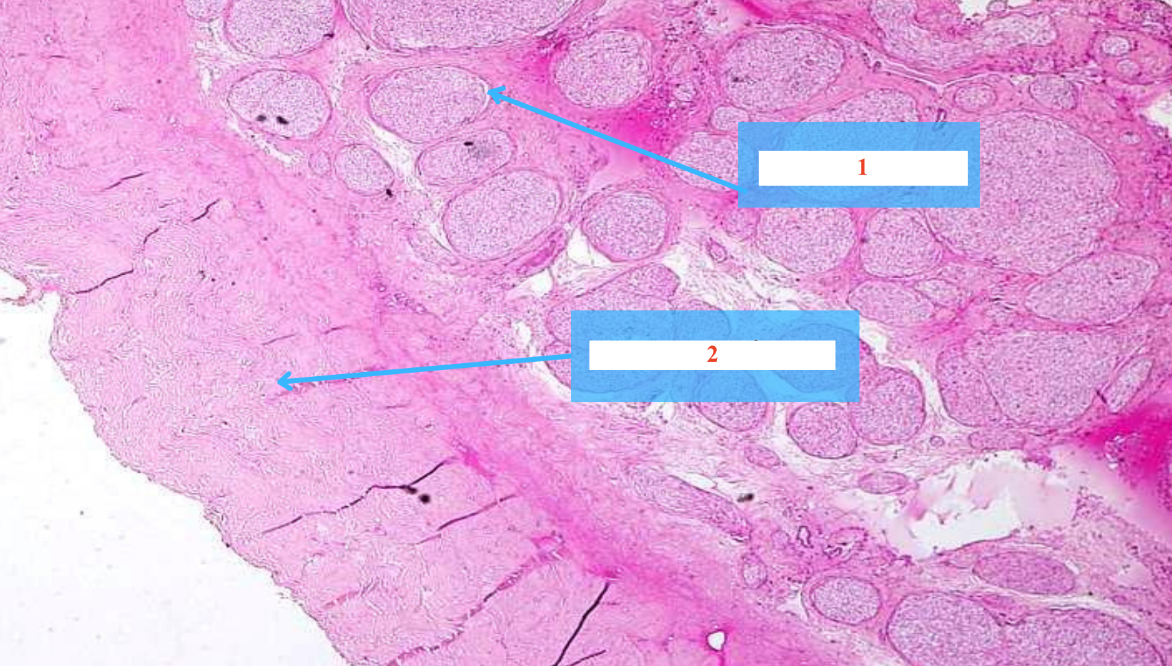 <p>Cấu trúc gì ?</p>