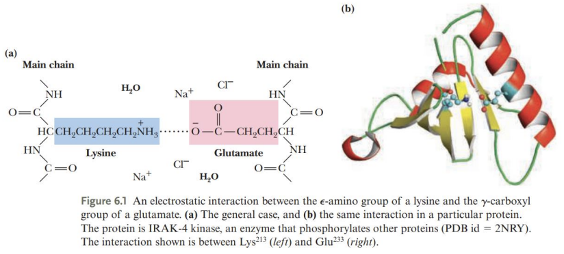 <p><strong>Ionic Interactions</strong>: Charged Partners</p><ul><li><p>where do they form?</p></li><li><p>where are they found?</p></li><li><p>what is unique about them?</p></li></ul><p></p>