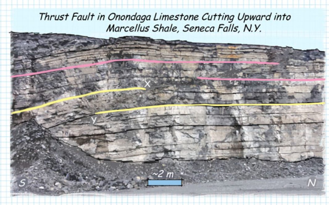 <p><span>Based on looking at the offset of the beds, which type of fault is this?</span></p>