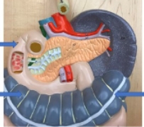 <p>name the parts</p>