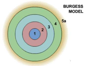 <p>Burgess Concentric Zone Model relevant time period and definition</p>