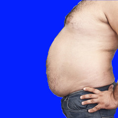 <p>stomach</p>