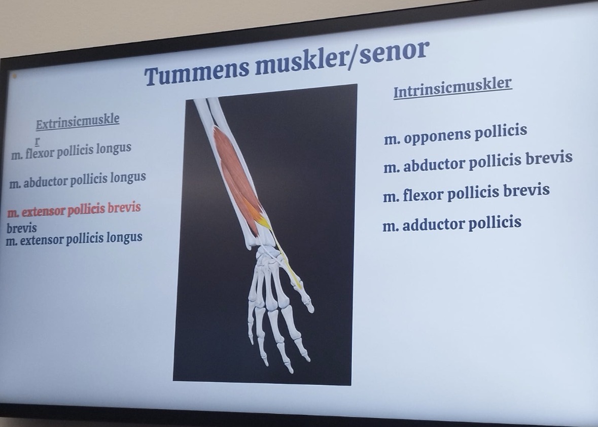 term image