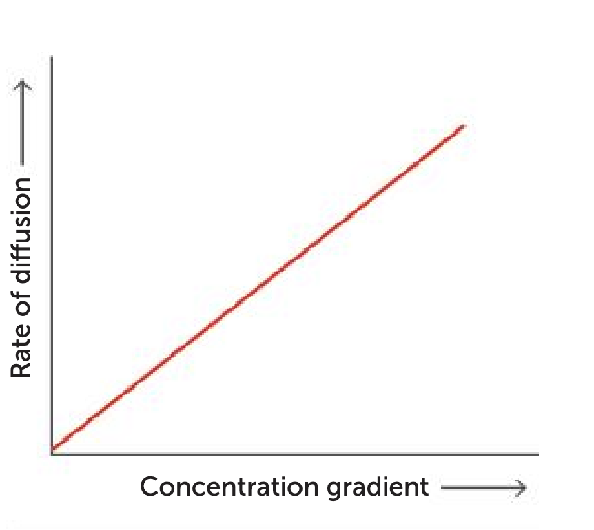 <p><span style="color: green;"><strong>how does a high conc gradient effect diffusion</strong></span></p>