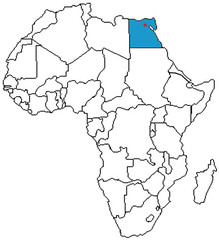 <p>I am from Egypt</p>