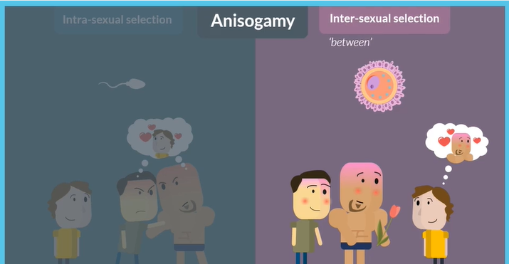 <p>cost </p><p>higher</p><p>careful</p><p>inter </p><p>desirable</p><p>sons</p><p>daughters </p>