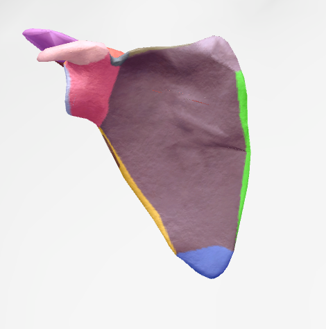 <p>Light Pink</p>