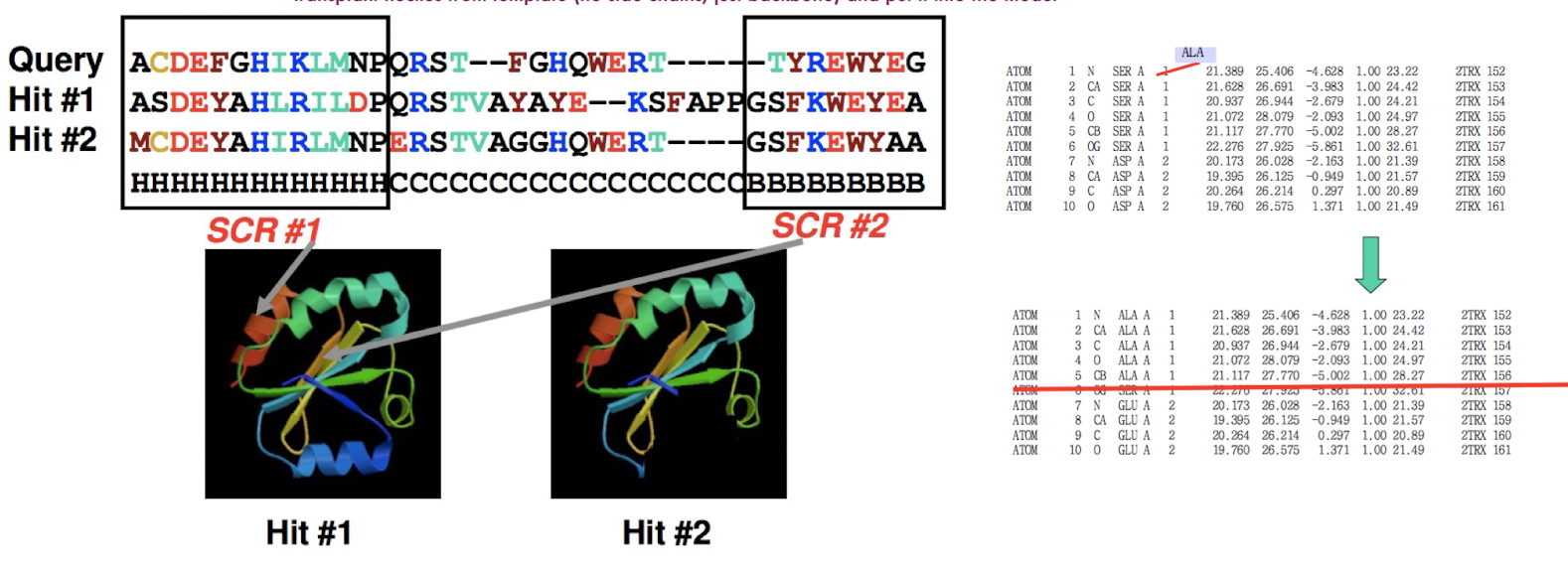 <ul><li><p>rigid body modeling: copying template backbone</p><ul><li><p>transplant helices from template (no side chains, just backbone) and put it into the model</p></li></ul></li><li><p>specifically, identifying sequence conserved regions and copying the coordinates of the backbone atoms</p></li></ul><p></p>