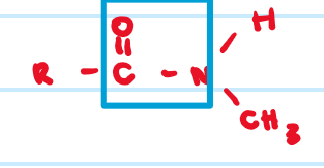 <p>prefix + ylmide</p>