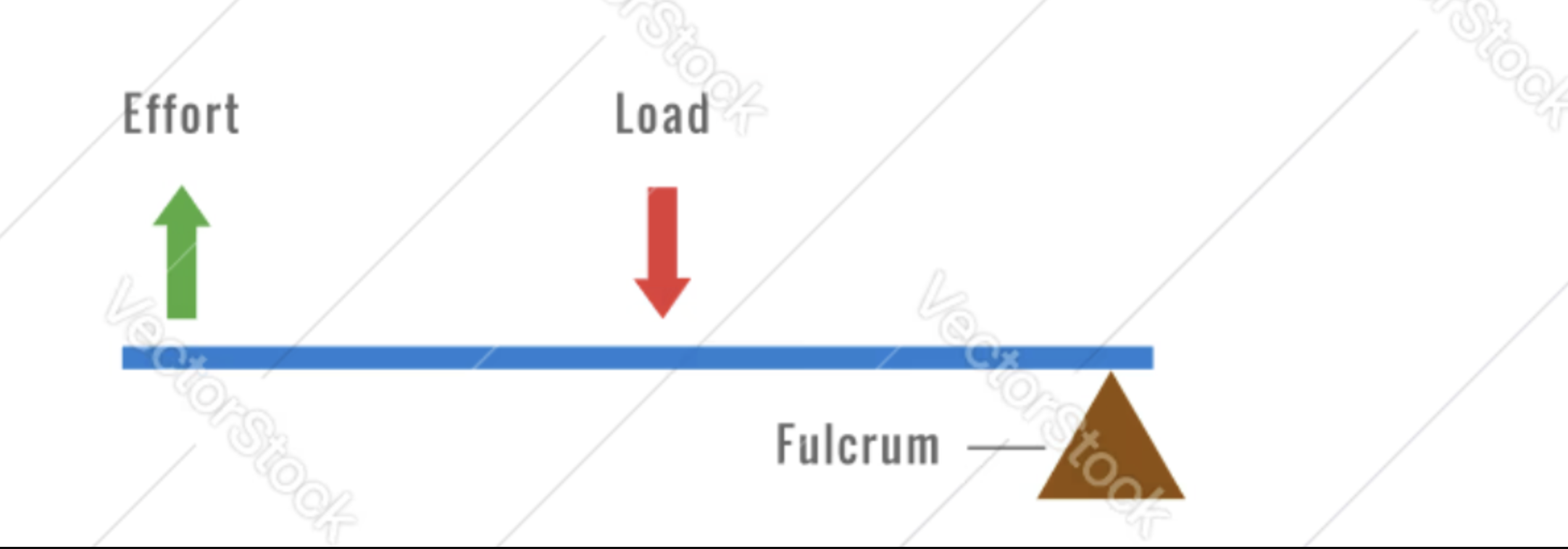<p>Used in: Wheel barrow, brake pedal, bottle opener</p><ul><li><p>Both arrows left/right to fulcrum</p></li><li><p>Effort up, load down</p></li></ul><p></p>