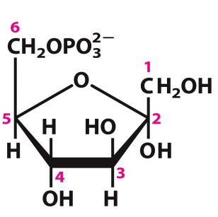 <p>What is this structure?</p>