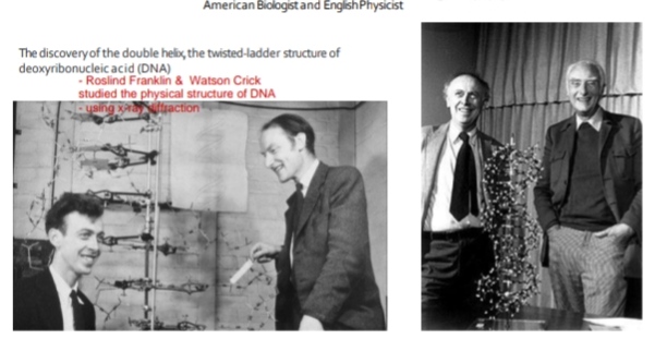 <p>James Watson & Francis Crick, 1953</p>