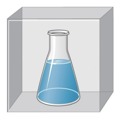 <p>system (sys.)</p>